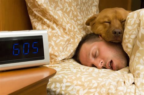 Time to Kick Fido off the Bed: Sleeping With Dogs Can Ruin Your Sleep